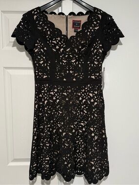 FOCUS by Shani — V-Neck Laser Cut Fit & Flare Dress in Black size 8 NWT
